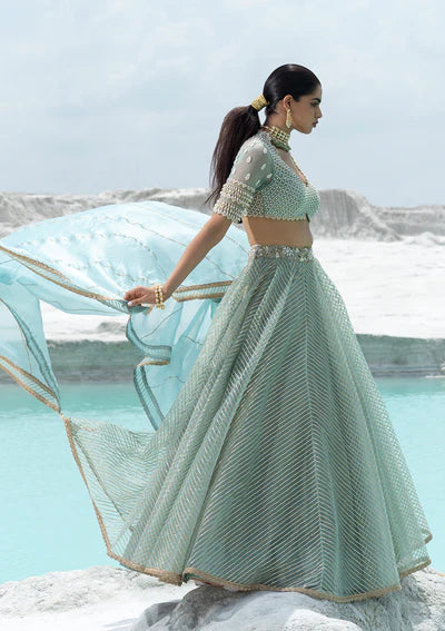 Mint Green Embellished Lehenga Set